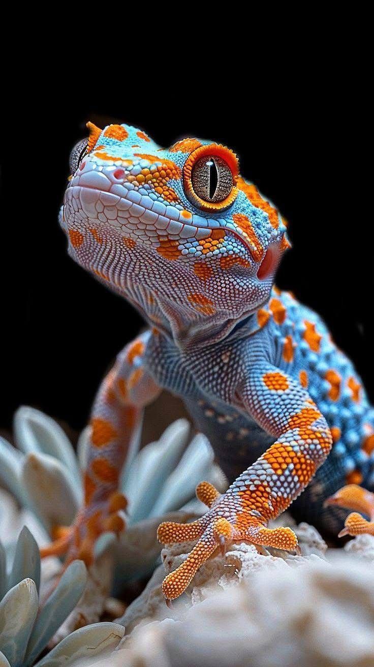 Пример работы NanoBanana